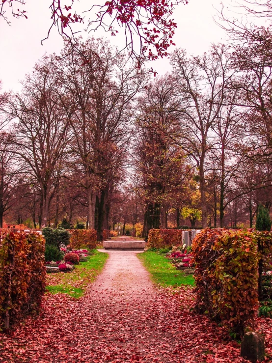 a pathway in a park with lots of leaves on the ground, by Sebastian Spreng, pink landscape, cemetery, red and brown color scheme, royal garden landscape