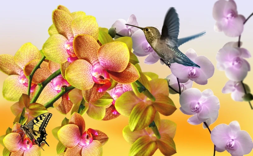 a hummingbird sitting on top of a branch of flowers, a digital rendering, by Kume Keiichiro, trending on pixabay, 3 d giant orchid flower, lavander and yellow color scheme, montage, overgrown with puffy orchids