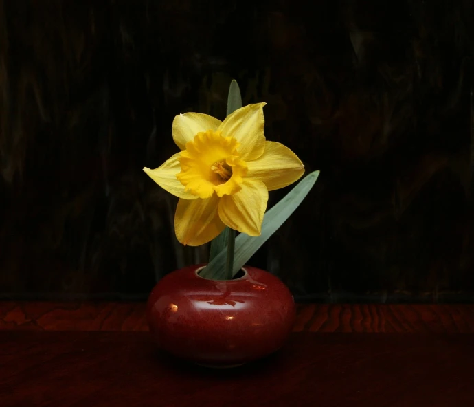 a yellow flower in a red vase on a table, flickr, sōsaku hanga, daffodils, portrait c 12.0, portrait of a small, orazio gentileschi style