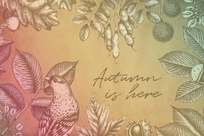 a drawing of leaves and birds with the words autumn is here, a photo, by Adrienn Henczné Deák, shutterstock, art nouveau, gustave dore\' background, copperplate print style, print!, corner