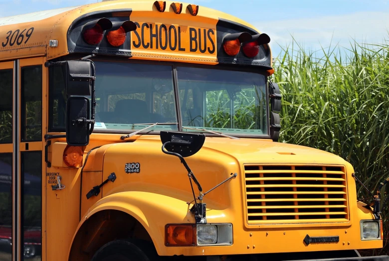 a yellow school bus parked in front of a corn field, a portrait, by Richard Hess, pixabay, b - roll, test, 6 4 0, h 768