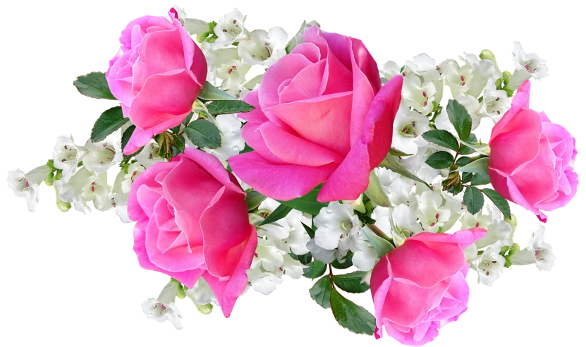 a bouquet of pink roses and white flowers, a digital rendering, inspired by Jan Henryk Rosen, pixabay, 😃😀😄☺🙃😉😗, up close picture, 3 4 5 3 1, flowers!!!!