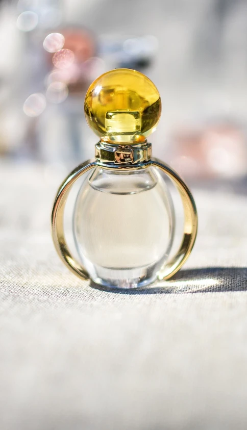 a bottle of perfume sitting on top of a table, a portrait, by Maksimilijan Vanka, pixabay, in sunny weather, golden accessories, bvlgari, close up portrait photo