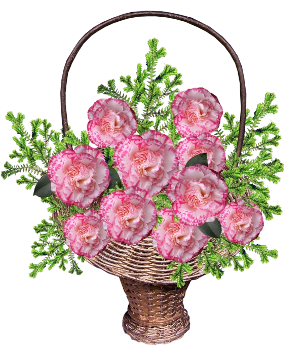 a basket filled with pink carnations and green leaves, a digital rendering, inspired by Nagasawa Rosetsu, flickr, digital art, paisley, catalog photo, accurate detail, ruffles
