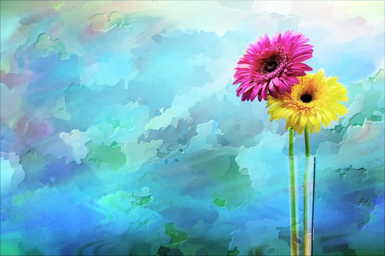 two yellow and pink flowers in a vase, a digital painting, trending on pixabay, art photography, breezy background, blue and pink colors, 4 k hd wallpaper illustration, daisies