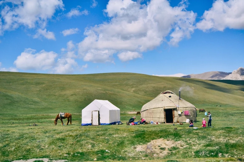 a group of people that are standing in the grass, by Muggur, huts, horse, bright summer day, tent architecture