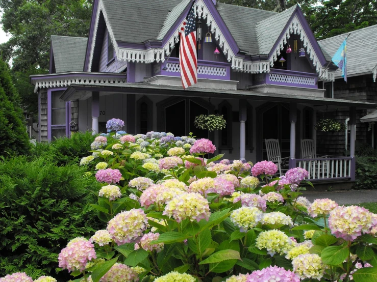 a purple house with flowers in front of it, by Susan Heidi, flickr, hydrangea, victorian setting, patriotic, masterpiece ”