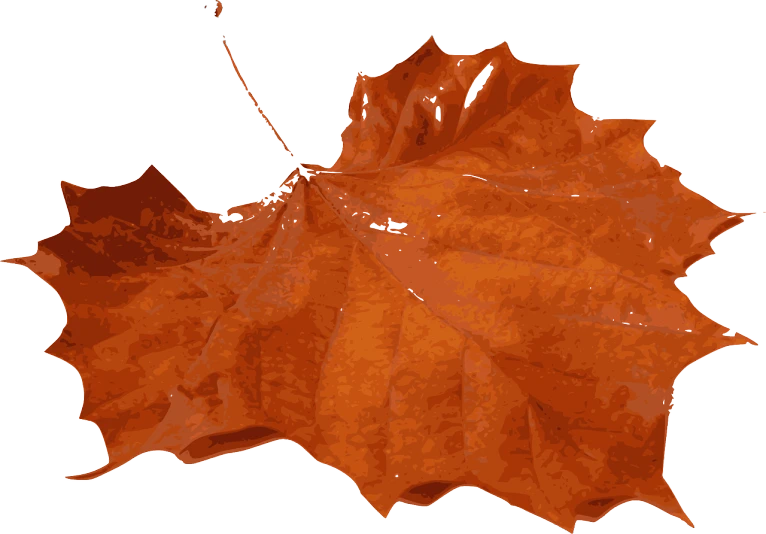 a close up of a leaf on a white background, a digital painting, pixabay, visual art, dark orange, maple syrup sea, !!! very coherent!!! vector art, viewed from the ground