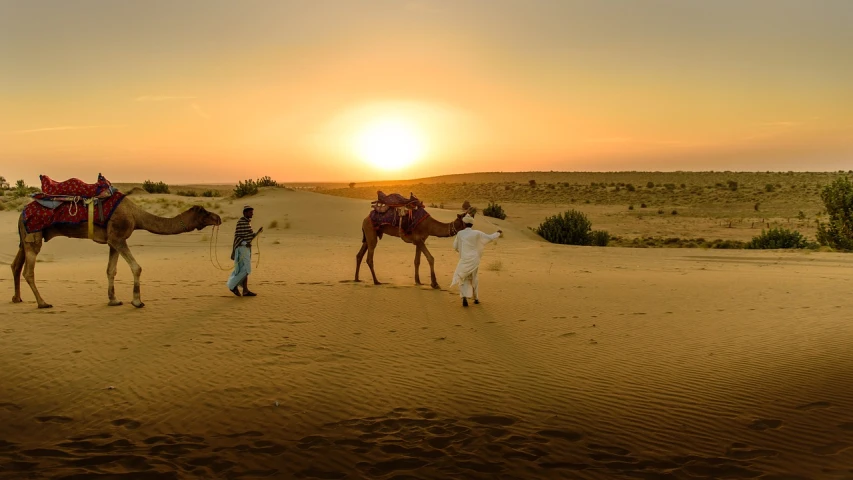 a man leading a group of camels across a desert, a picture, pexels contest winner, dau-al-set, sunset panorama, india, standing next to a camel, camera