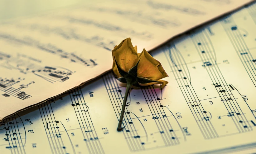 a rose sitting on top of a sheet of music, a photo, by Svetlin Velinov, trending on pixabay, romanticism, yellow rose, dried flower, shot on canon eos r 5, musical notes