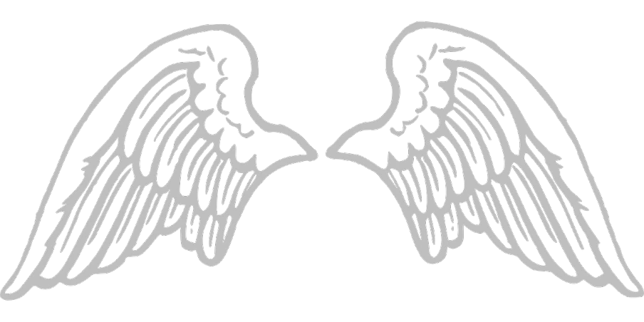 a pair of white wings on a black background, by Dennis Ashbaugh, symbolism, ( ( dithered ) ), black metal band logo, grainy, angels