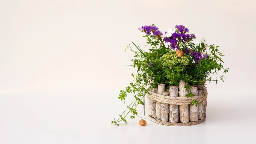 a basket filled with purple and white flowers, a picture, by Maki Haku, with a wooden stuff, with a white background, post processed, pot plants
