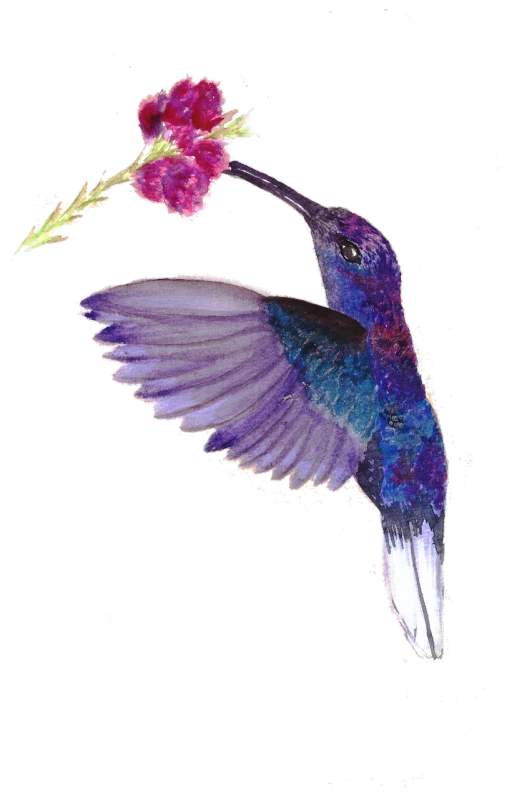a hummingbird with a flower in its beak, a digital rendering, arabesque, galaxy, black velvet painting, loosely cropped, watercolored