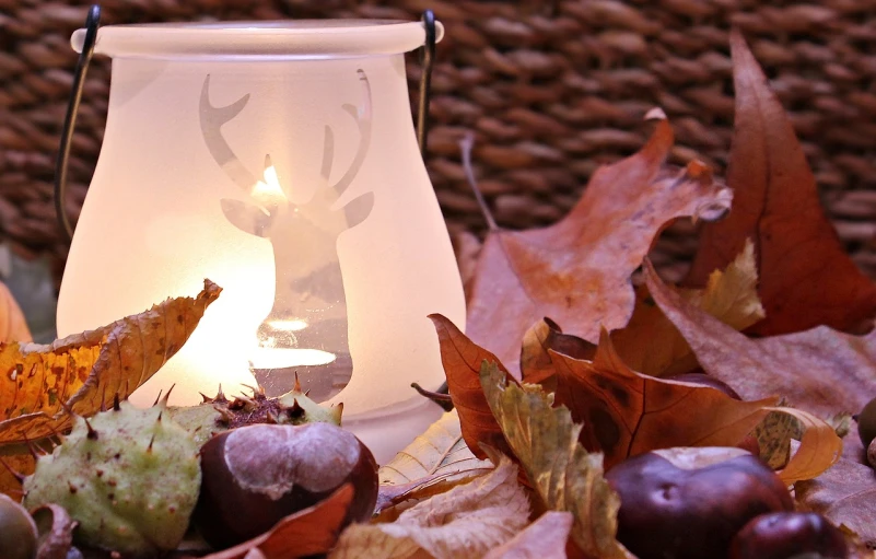 a lantern sitting on top of a pile of leaves, a still life, by Anna Haifisch, pixabay, deer ears, on a candle holder, profile picture, oak acorns