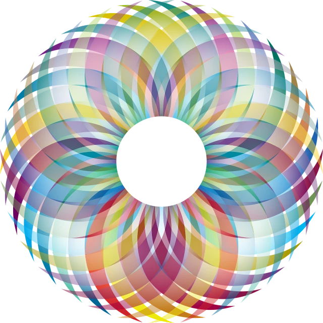 a colorful circular design on a black background, vector art, inspired by Gabriel Dawe, depicting a flower, shaped like torus ring, translucent sphere, full color illustration
