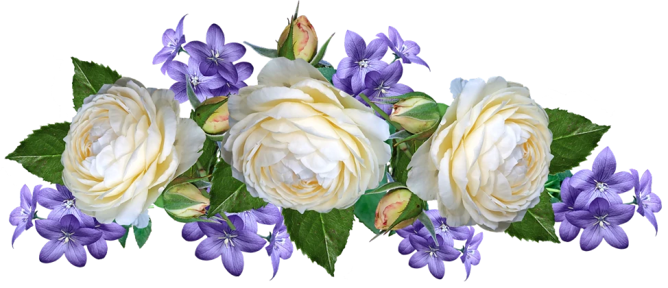 a bouquet of white and purple flowers on a black background, a digital rendering, by Joan Ayling, yellow rose, in a row, clematis theme banner, portrait close up