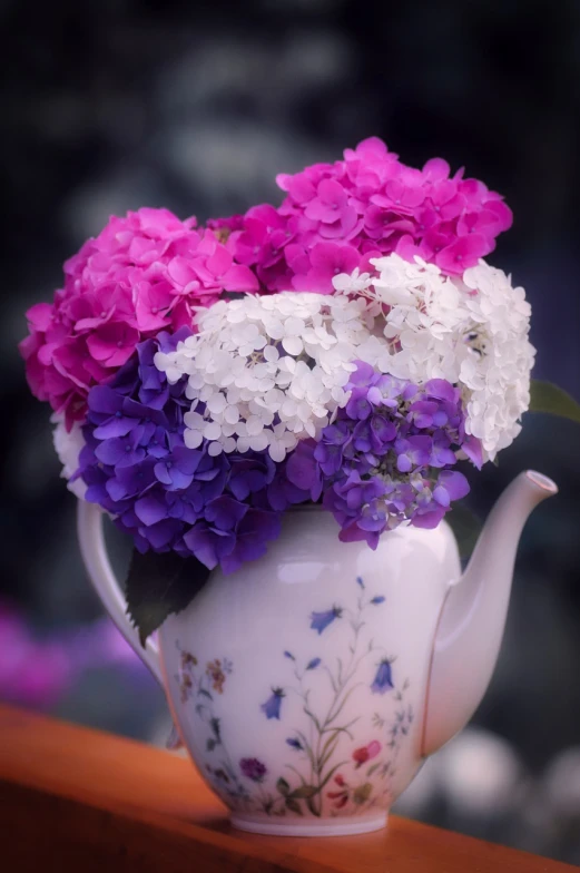 a white tea pot filled with purple and white flowers, a colorized photo, shutterstock, hydrangea, stock photo