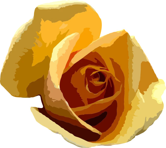 a close up of a yellow rose on a black background, a digital painting, vector images, clipart, flat - color, colored woodcut