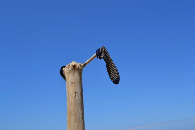 a close up of a wooden pole on a beach, a surrealist sculpture, new sculpture, blue and clear sky, worm, very accurate photo, hoofs