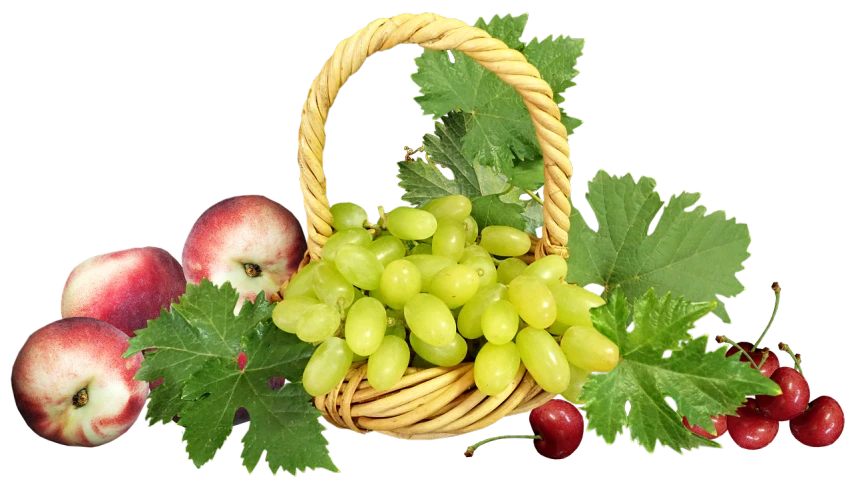 a wicker basket filled with grapes and apples, by Albert J. Welti, pixabay, - h 1 0 2 4, on black background, green vines, albino