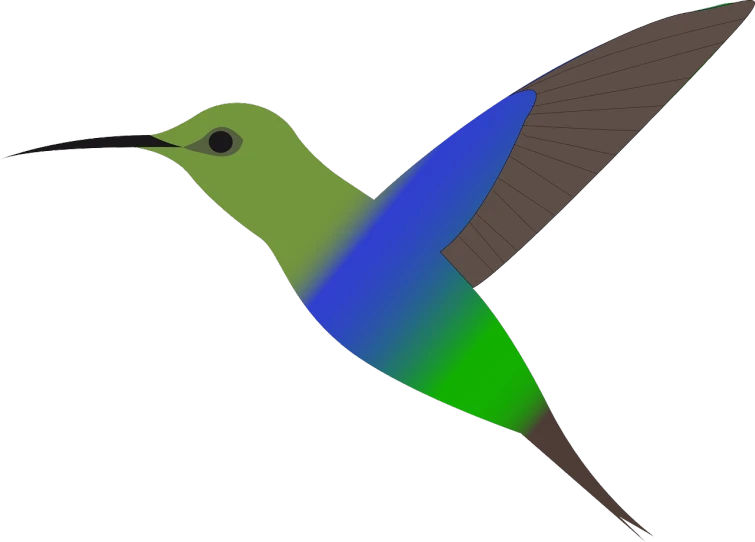 a green and blue hummingbird flying through the air, an illustration of, hurufiyya, colorful illustration, ( side ) profile, tourist photo, lineless