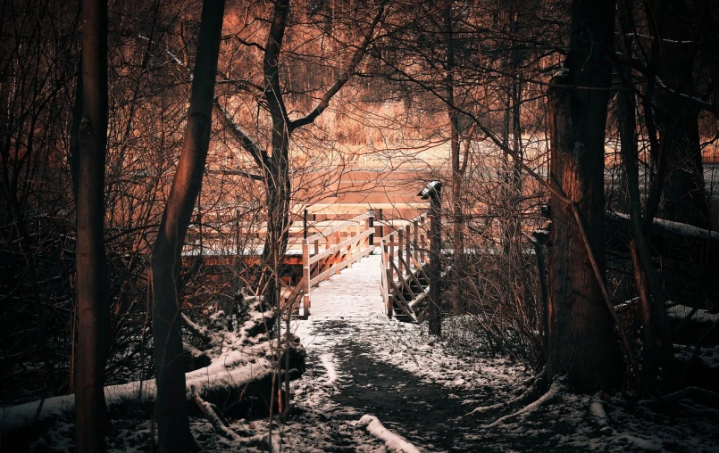 a wooden bridge in the middle of a snowy forest, a picture, inspired by Franz Sedlacek, pexels, tonalism, redscale photography, beige and dark atmosphere, gate to hell, warm spring