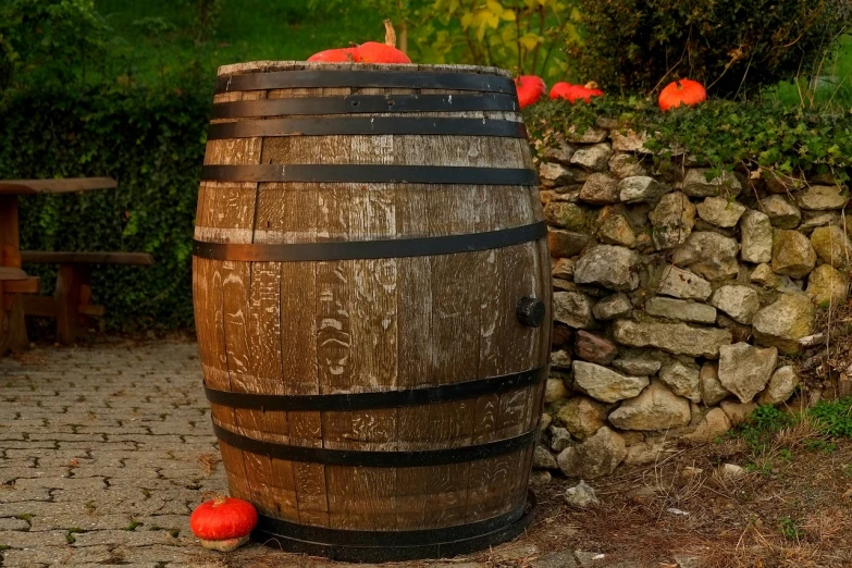 a wooden barrel sitting next to a stone wall, a photo, by François Girardon, pixabay, pumpkin patch, in the evening, cider-man, peinture à l'huile
