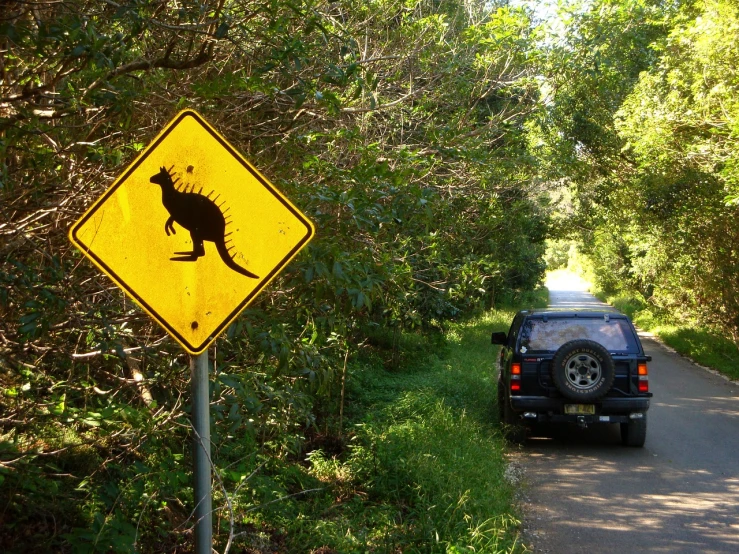 a yellow sign sitting on the side of a road, by Dicky Doyle, flickr, folk art, tree kangaroo, spinosaurus, car shot, gold coast australia