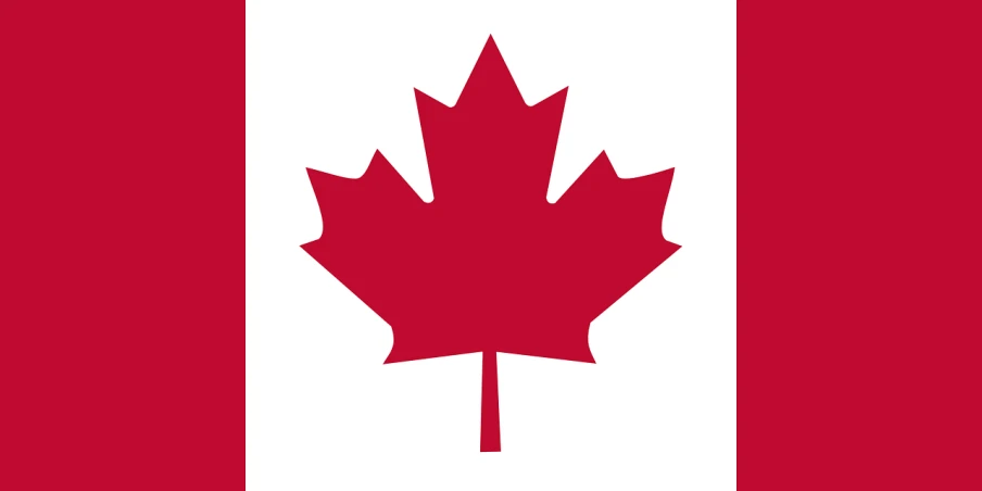 a canadian flag with a maple leaf on it, inspired by Clément Serveau, single flat colour, high res, 70’s, cut