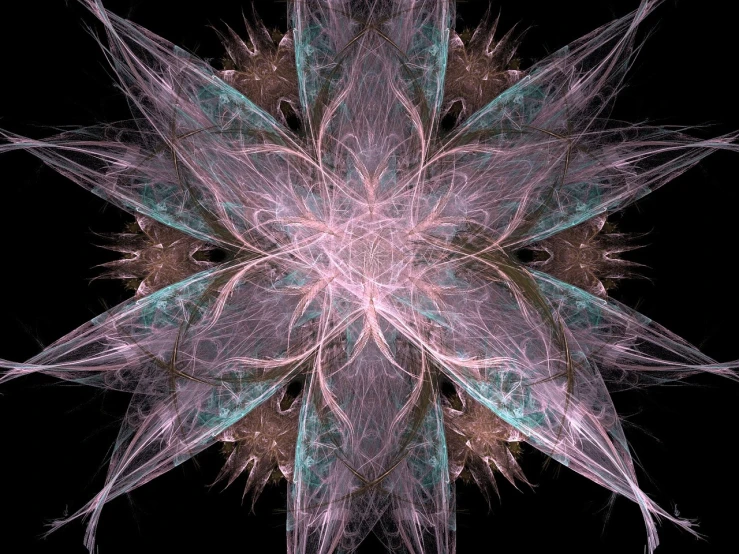 a computer generated image of a star on a black background, digital art, generative art, pink lotus queen, fractal feathers, amethyst stained glass, big nebula as clover