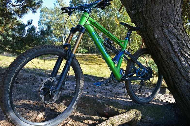 a green mountain bike leaning against a tree, by Petr Brandl, flickr, full - body - front - shot, frontshot, panzer, green and blue and warm theme