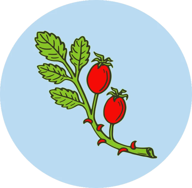 a bunch of tomatoes on a branch with leaves, inspired by György Rózsahegyi, arbeitsrat für kunst, circular logo, rosen maiden, coat of arms, shabab alizadeh