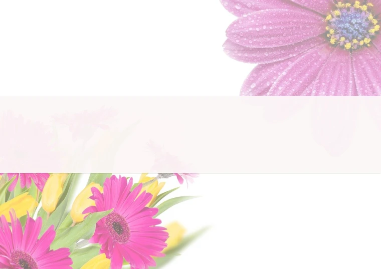 a bunch of pink and yellow flowers in a vase, a picture, romanticism, splash page, card template, 4k high res, no text!