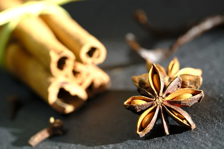 a close up of a star anise on a table, renaissance, close-up product photo