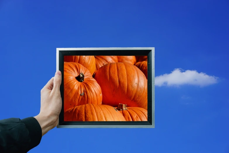 a person holding up a picture of a bunch of pumpkins, a picture, inspired by Rene Magritte, pixabay, tv frame, cloud, oled, konica minolta