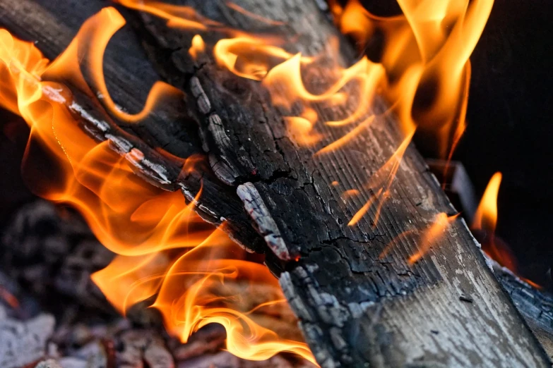 a close up of a piece of wood on fire, a picture, by Rodney Joseph Burn, shutterstock, fine art, flame stones are scattered, details and vivid colors, outdoor photo, hot food