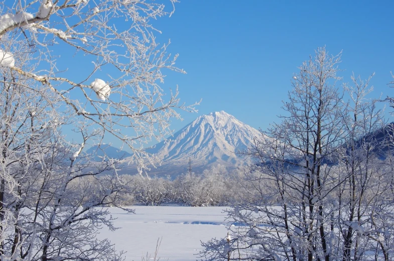 a snow covered mountain in the distance with trees in the foreground, a photo, inspired by Kaii Higashiyama, flickr, clear sunny day, an ice volcano, akihiko yoshida”, alaska