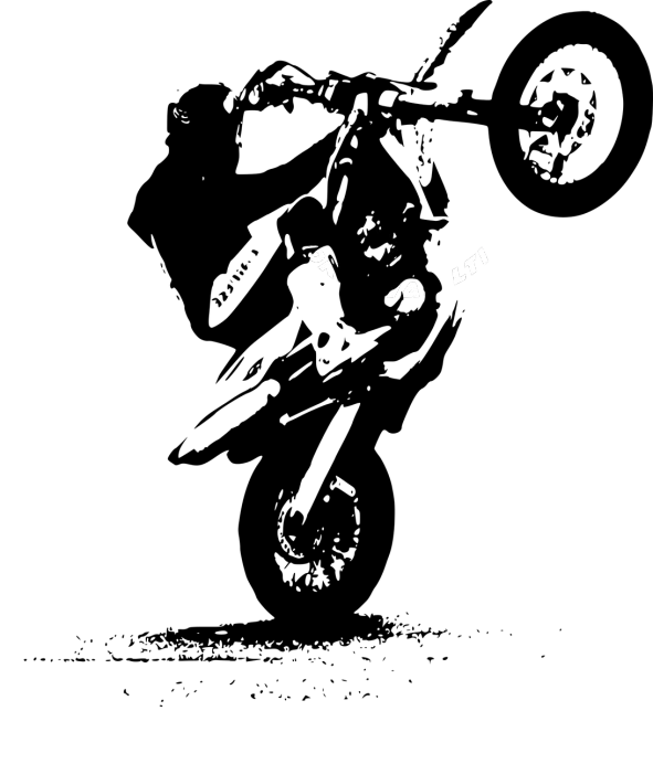 a close up of a cat's eyes in the dark, a black and white photo, inspired by Taro Yamamoto, reddit, hurufiyya, low quality video, black backround. inkscape, alien spaceship, miles morales!!!