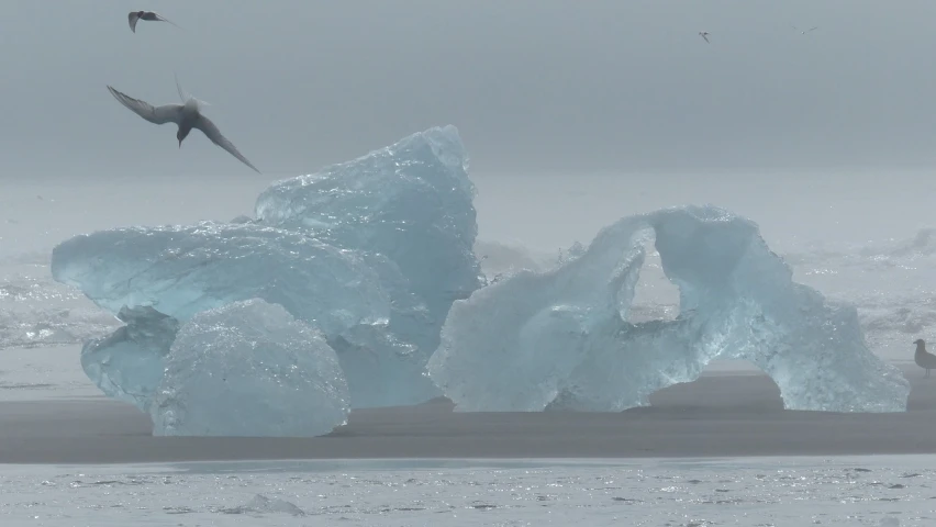 a group of birds flying over an iceberg, inspired by Jan Rustem, land art, seaglass, with a figure in the background, not cropped, grayish
