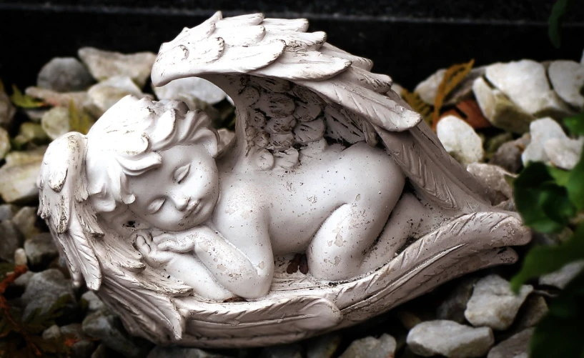 a statue of a baby angel sleeping in a shell, pixabay, proper shading, gargoyle, white wings, high quality image”