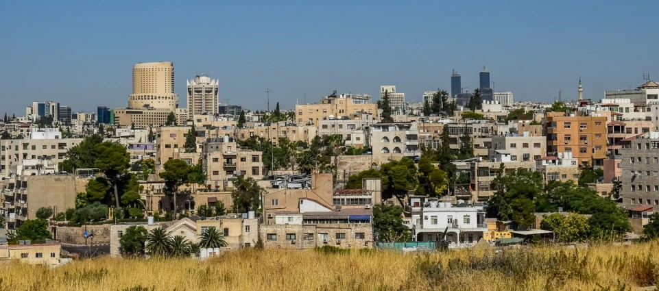 a view of a city from the top of a hill, by Edward Ben Avram, pexels, les nabis, sukkot, wikimedia commons, with palm trees in the back, sweltering