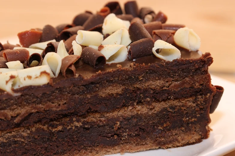 a piece of chocolate cake sitting on top of a white plate, by Aleksander Gierymski, shutterstock, multilayer, detailed zoom photo, very detailed photo, close-up product photo