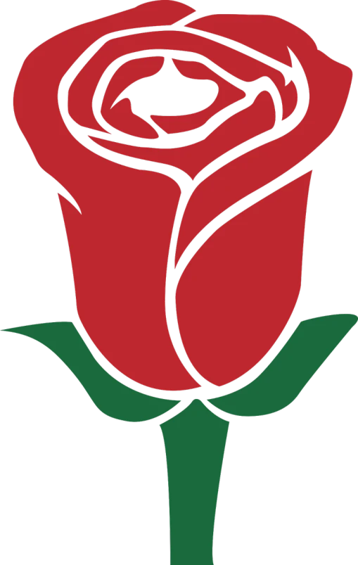 a red rose with a green stem on a black background, cg society, art nouveau, an olive skinned, frank kozik, logo without text, basic