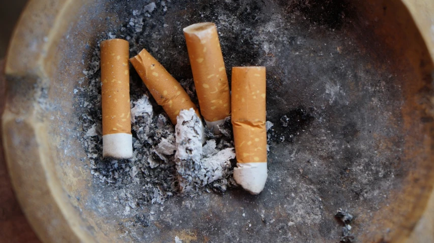 a couple of cigarettes that are sitting in a bowl, a portrait, inspired by William Harnett, shutterstock, auto-destructive art, debris on the floor, we didn't start the fire, usa-sep 20, crackles