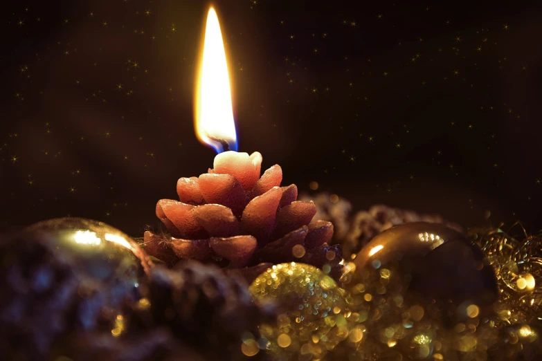 a lit candle sitting on top of a pile of christmas decorations, pixabay, digital art, pinecone, avatar image, middle close up composition, floating embers