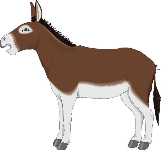 a donkey standing in front of a black background, an illustration of, by Maxwell Bates, deviantart contest winner, mingei, !!! very coherent!!! vector art, brown tail, zoomed out full body, white neck visible
