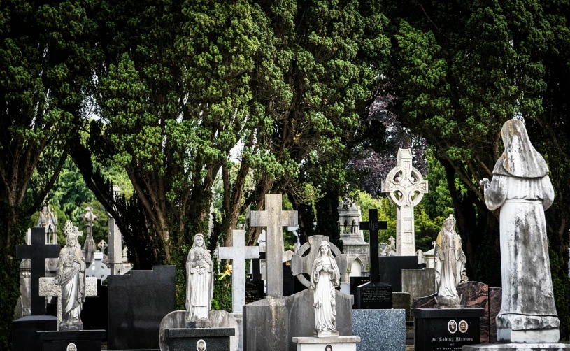 a cemetery filled with lots of tombstones and statues, a photo, inspired by Eamon Everall, cherished trees, te pae, shot on nikon z9, more details