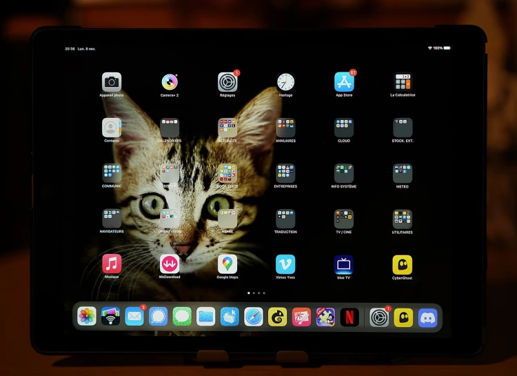 a close up of an ipad with a cat on the screen, by Android Jones, wallpaper 4 k, luminar ai, 🦩🪐🐞👩🏻🦳, symmetry!