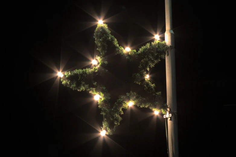 a lighted star on a pole in the dark, by Jan Rustem, environmental art, topiary, top - down view, fully decorated, tyler west