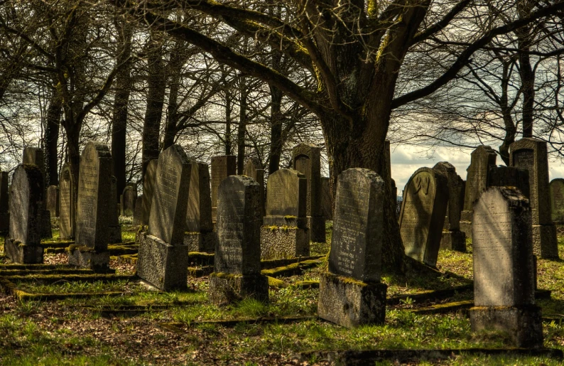 a cemetery filled with lots of tombstones and trees, by Richard Carline, dramatic light, yorkshire, an old, tourist photo
